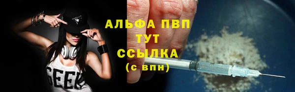 сатива Алзамай
