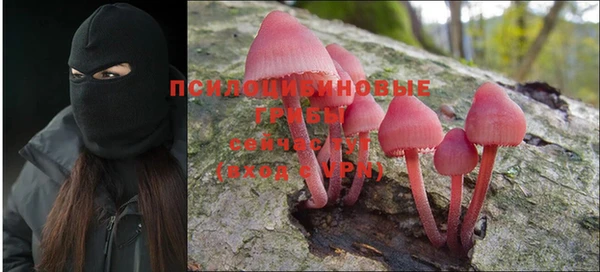 молекула духа Алексин