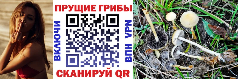 Галлюциногенные грибы MAGIC MUSHROOMS  Брянск 