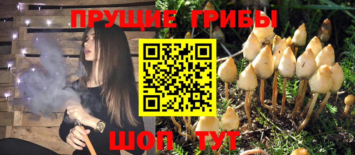 Галлюциногенные грибы MAGIC MUSHROOMS  Вход с VPN  Брянск 
