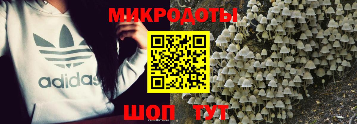 Псилоцибиновые грибы мицелий Брянск